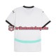 Österreich Euro 2024 Herren Trikot Auswärts Kurzarm