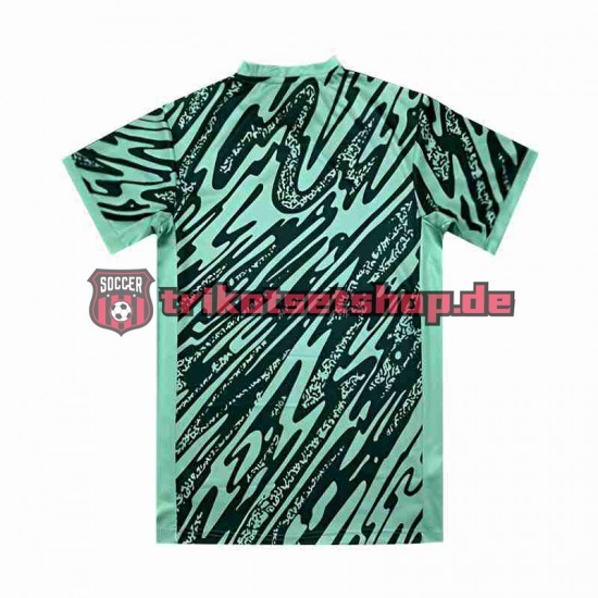 Brasilien Torwart Copa America 2024 Herren Trikot Ausweich Grün Kurzarm