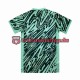 Brasilien Torwart Copa America 2024 Herren Trikot Ausweich Grün Kurzarm