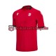 Georgien Euro 2024 Herren Trikot Ausweich Kurzarm