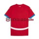 Serbien Euro 2024 Herren Trikot Heim Rot Kurzarm