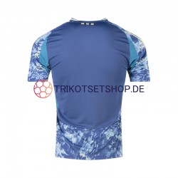 Ajax Amsterdam 2024-2025 Herren Trikot Auswärts Kurzarm