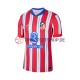 Atlético Madrid 2024-2025 Herren Trikot Heim Kurzarm