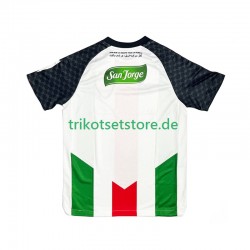 Club Deportivo Palestino 2025-2026 Herren Trikot Heim Kurzarm