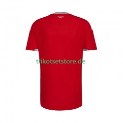 Wales 2026 Herren Trikot Heim Kurzarm
