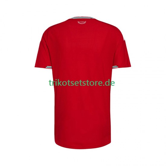 Wales 2026 Herren Trikot Heim Kurzarm