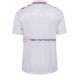 Dänemark Euro 2024 Herren Trikot Auswärts Kurzarm