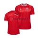 Dänemark Euro 2024 Herren Trikot Heim Rot Kurzarm