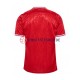 Dänemark Euro 2024 Herren Trikot Heim Rot Kurzarm