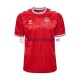 Dänemark Euro 2024 Herren Trikot Heim Rot Kurzarm