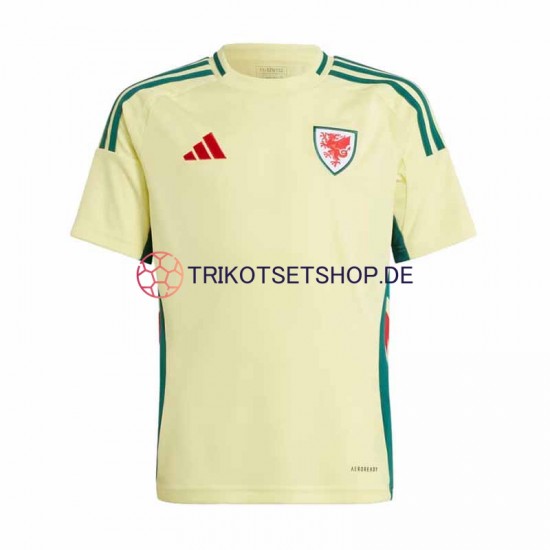 Wales 2024 Herren Trikot Auswärts Kurzarm
