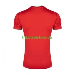 Iran 2026 Herren Trikot Auswärts Kurzarm