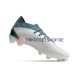 Adidas PREDATOR ACCURACY23.1 FG Blau Weiß Fußballschuhe