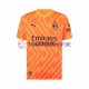 AC Mailand Mike Maignan 16 2023-2024 Torwart Herren Trikot Auswärts Kurzarm
