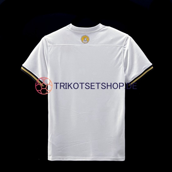 AIK Special 2023 Herren Trikot Heim Kurzarm