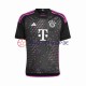FC Bayern München 2023-2024 Herren Trikot Auswärts Kurzarm