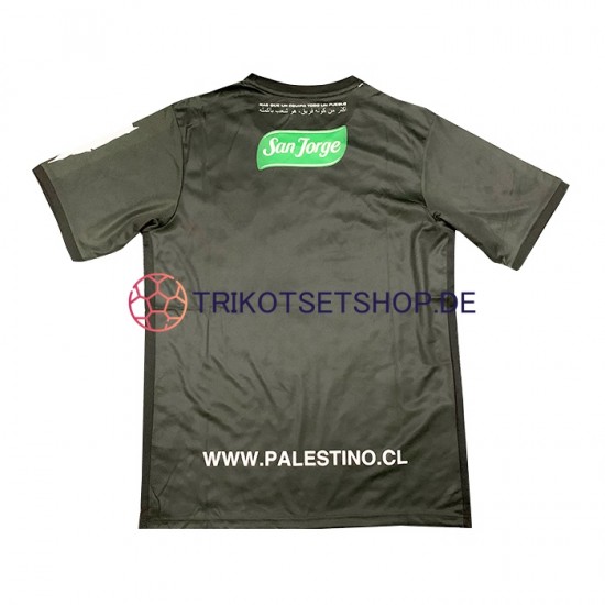 Club Deportivo Palestino 2022-2023 Herren Trikot Auswärts Kurzarm