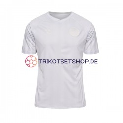 Dänemark World Cup 2022 Herren Trikot Auswärts Kurzarm