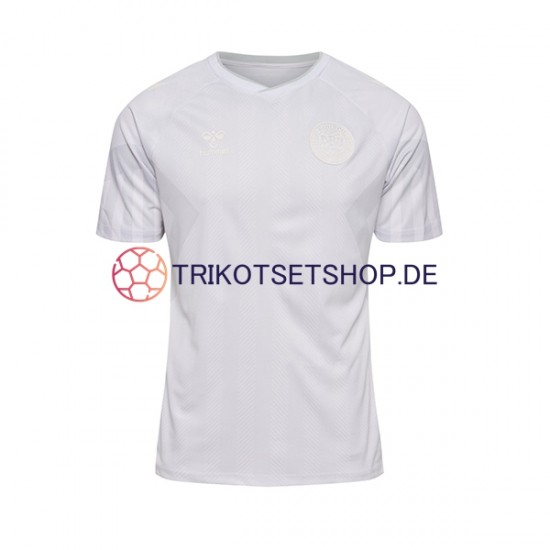 Dänemark World Cup 2022 Herren Trikot Auswärts Kurzarm