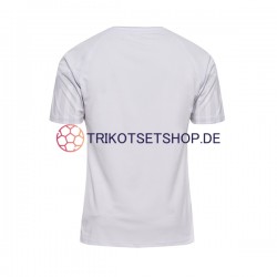 Dänemark World Cup 2022 Herren Trikot Auswärts Kurzarm