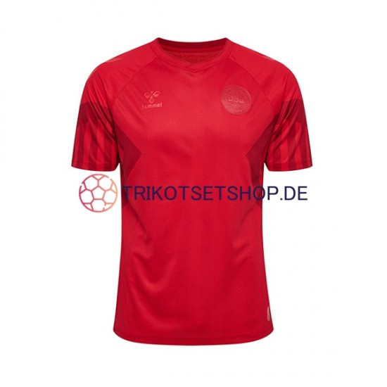 Dänemark World Cup 2022 Herren Trikot Heim Kurzarm