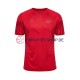 Dänemark World Cup 2022 Herren Trikot Heim Kurzarm