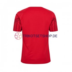Dänemark World Cup 2022 Herren Trikot Heim Kurzarm
