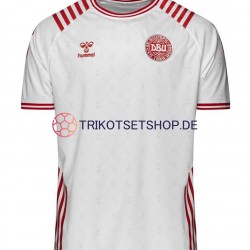 Dänemark Special World Cup 2022 Herren Trikot Auswärts Kurzarm