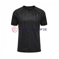 Dänemark World Cup 2022 Herren Trikot Ausweich Kurzarm