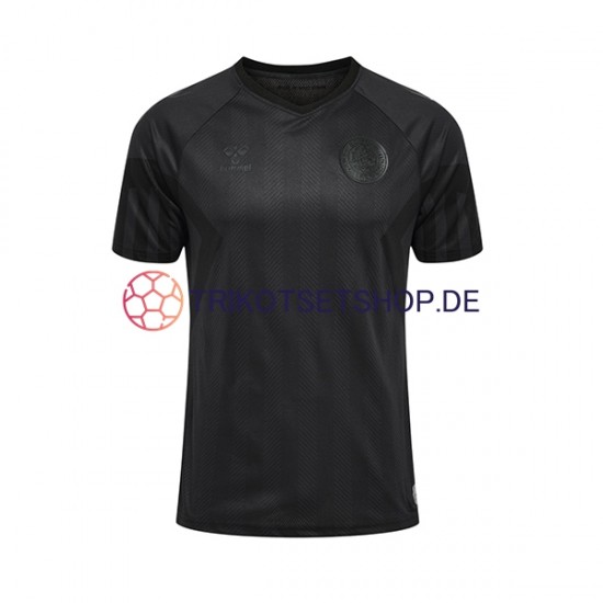 Dänemark World Cup 2022 Herren Trikot Ausweich Kurzarm