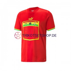 Ghana World Cup 2022 Herren Trikot Auswärts Kurzarm