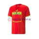 Ghana World Cup 2022 Herren Trikot Auswärts Kurzarm