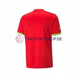 Ghana World Cup 2022 Herren Trikot Auswärts Kurzarm