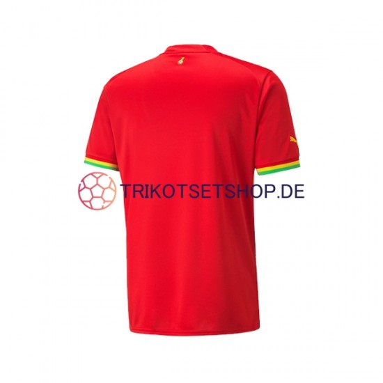 Ghana World Cup 2022 Herren Trikot Auswärts Kurzarm
