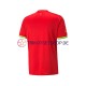 Ghana World Cup 2022 Herren Trikot Auswärts Kurzarm