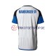 Hamburger SV 2023-2024 Herren Trikot Heim Kurzarm