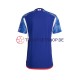 Japan World Cup 2022 Herren Trikot Heim Kurzarm