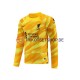 Liverpool 2023-2024 Torwart Herren Trikot Ausweich Langarm