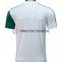 Liverpool Retro 1995 Herren Trikot Auswärts Kurzarm
