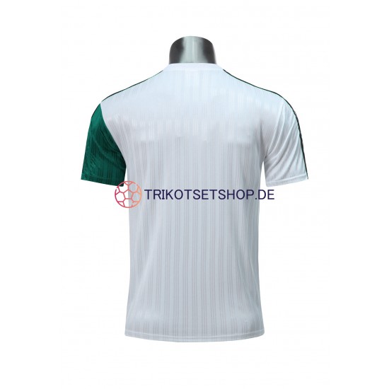 Liverpool Retro 1995 Herren Trikot Auswärts Kurzarm