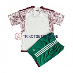 Mexiko World Cup 2022 Kinder Trikotset Auswärts Kurzarm