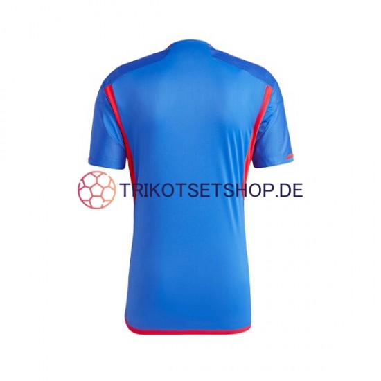 Olympique Lyon 2023-2024 Herren Trikot Auswärts Kurzarm