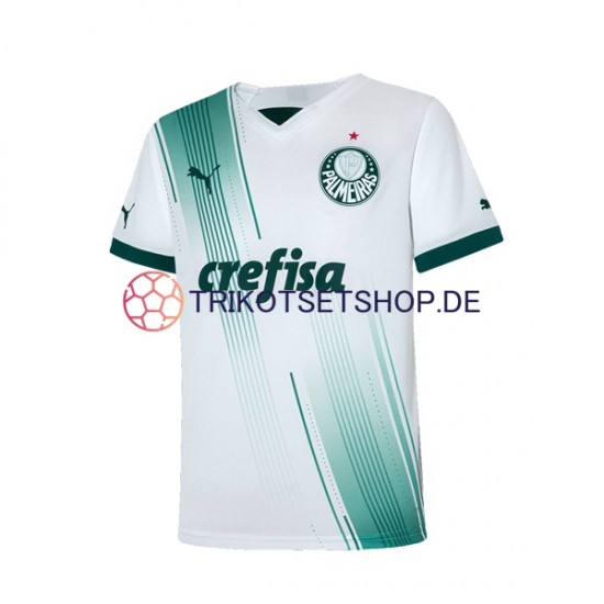 Palmeiras 2023-2024 Herren Trikot Auswärts Kurzarm