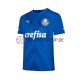 Palmeiras 2023-2024 Torwart Herren Trikot Heim Kurzarm