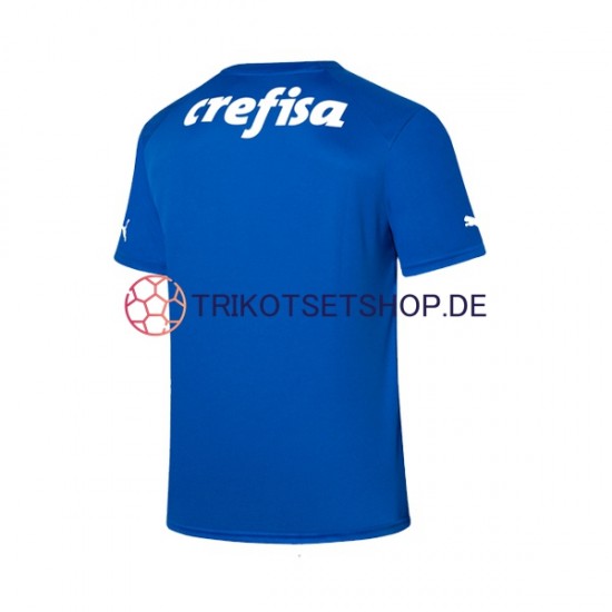 Palmeiras 2023-2024 Torwart Herren Trikot Heim Kurzarm