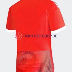 Peru 2023 Herren Trikot Auswärts Kurzarm