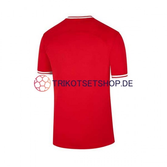 Polen World Cup 2022 Herren Trikot Auswärts Kurzarm