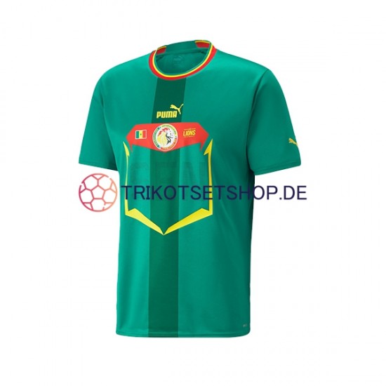 Senegal World Cup 2022 Herren Trikot Auswärts Kurzarm