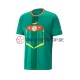 Senegal World Cup 2022 Herren Trikot Auswärts Kurzarm