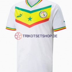 Senegal World Cup 2022 Herren Trikot Heim Kurzarm